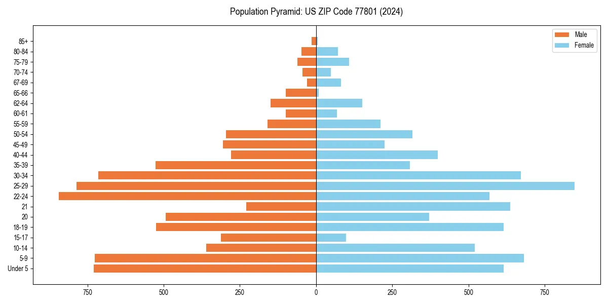 Population pyramid for 