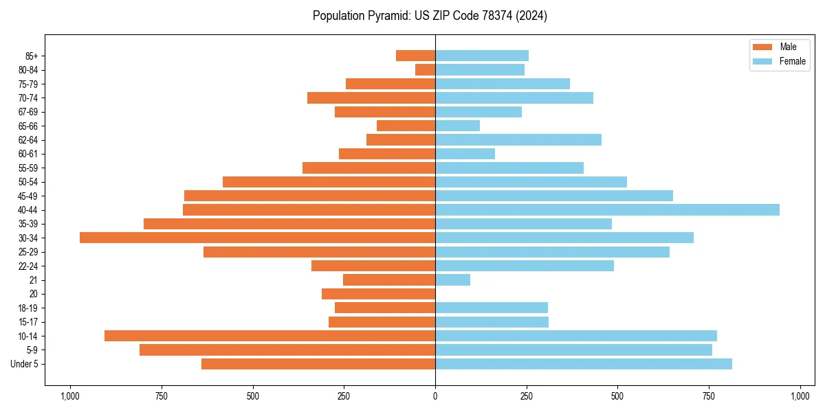 Population pyramid for 