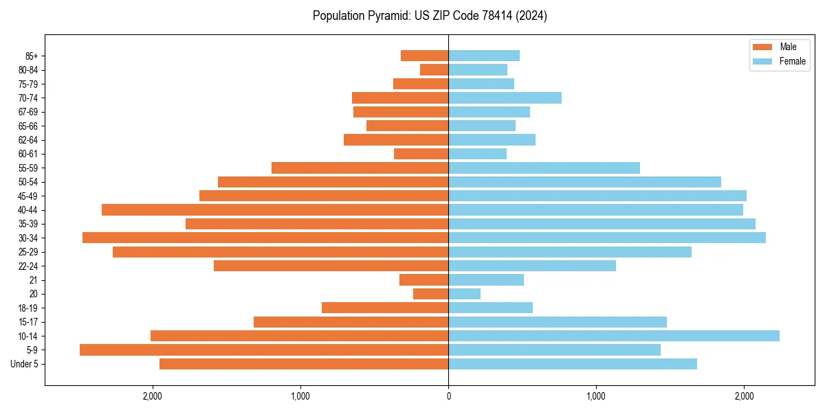 Population pyramid for 