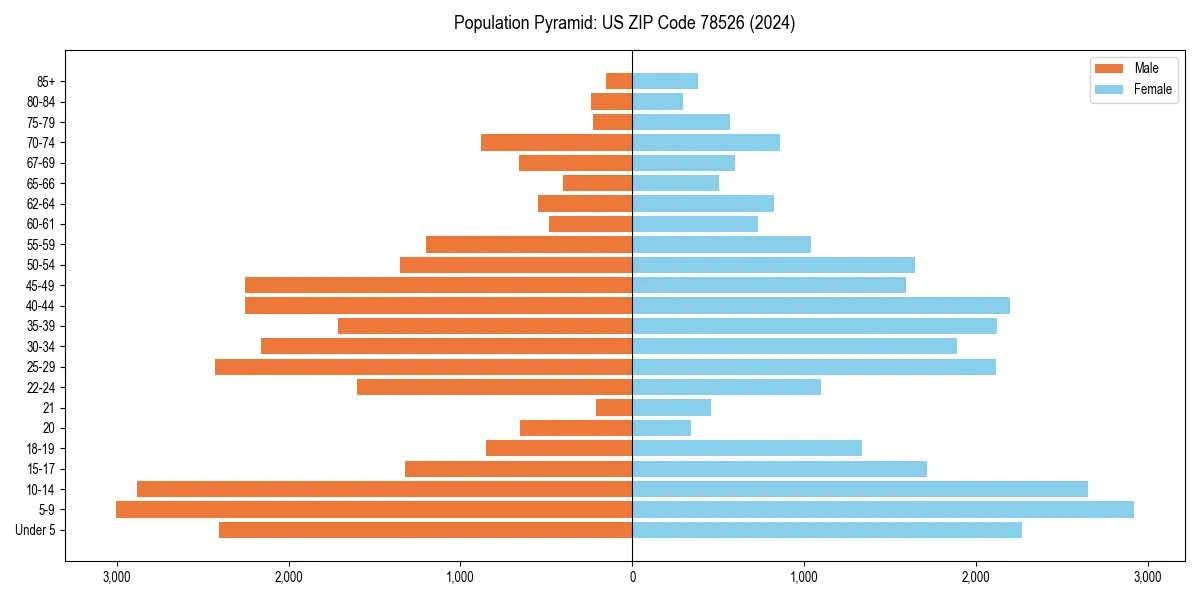Population pyramid for 
