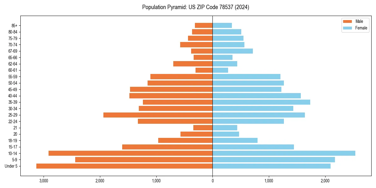 Population pyramid for 