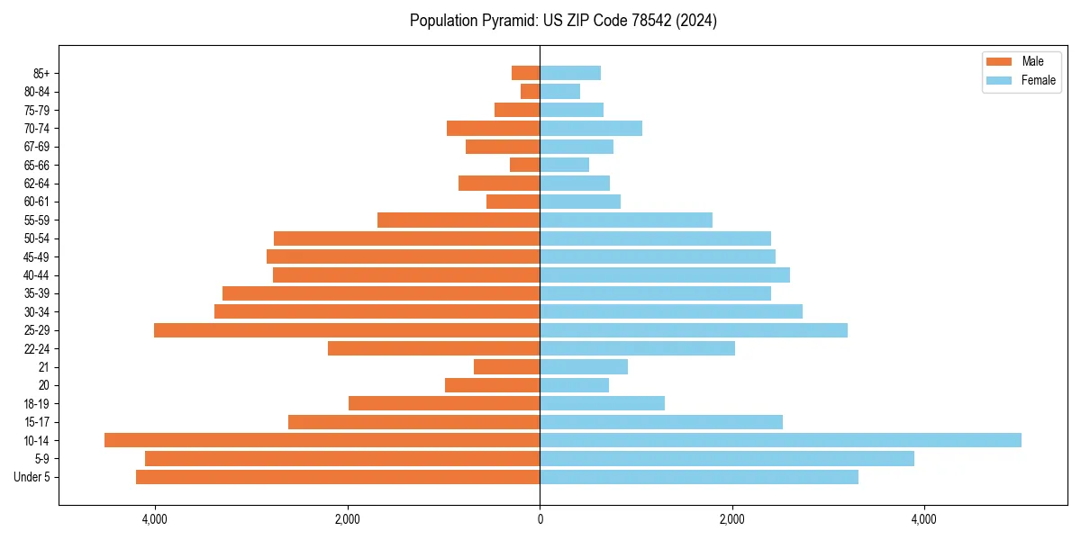 Population pyramid for 