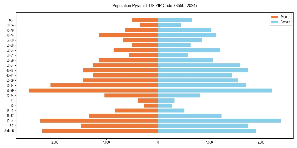 Population pyramid for 