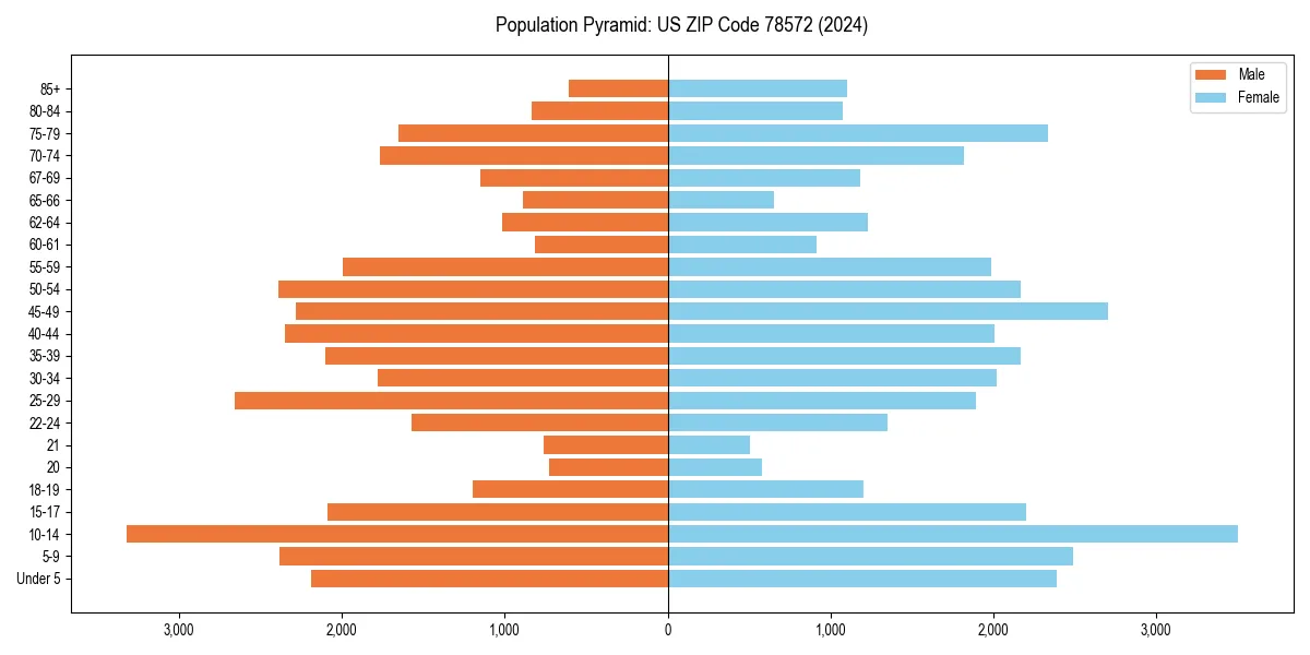 Population pyramid for 