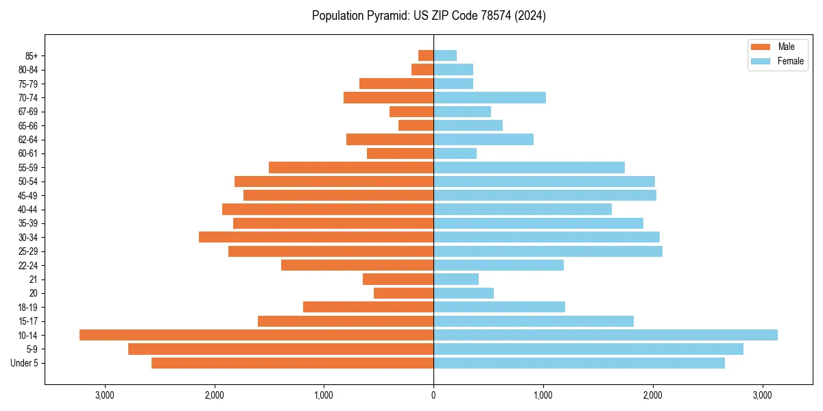 Population pyramid for 