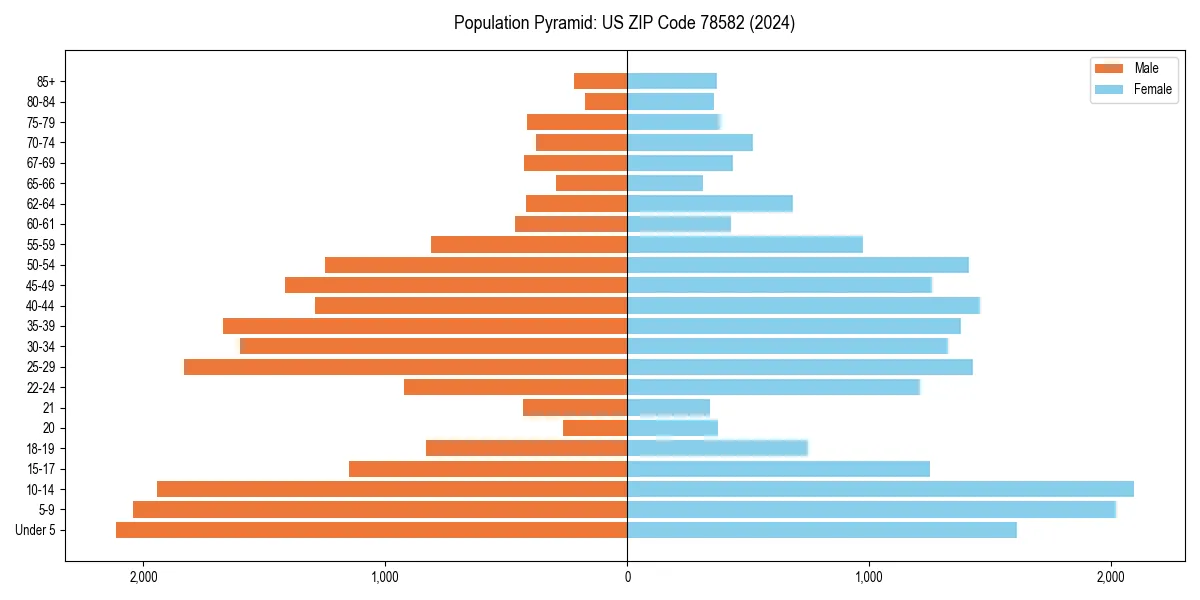 Population pyramid for 