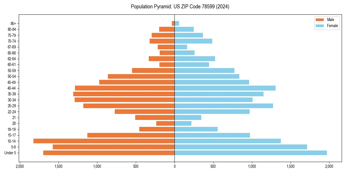 Population pyramid for 