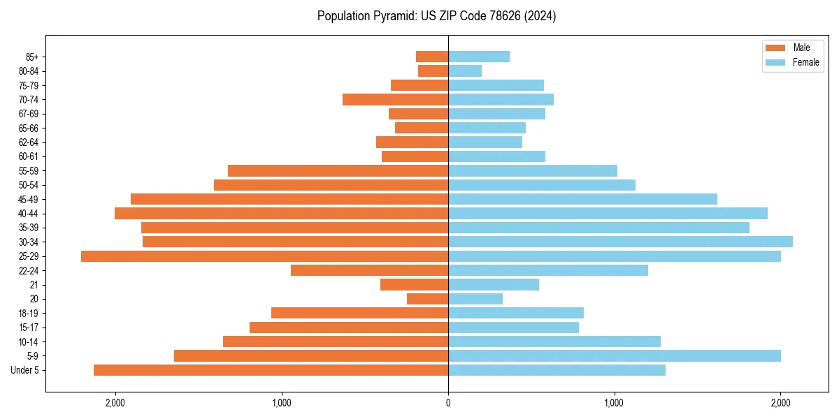 Population pyramid for 
