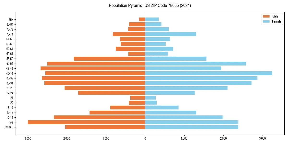 Population pyramid for 