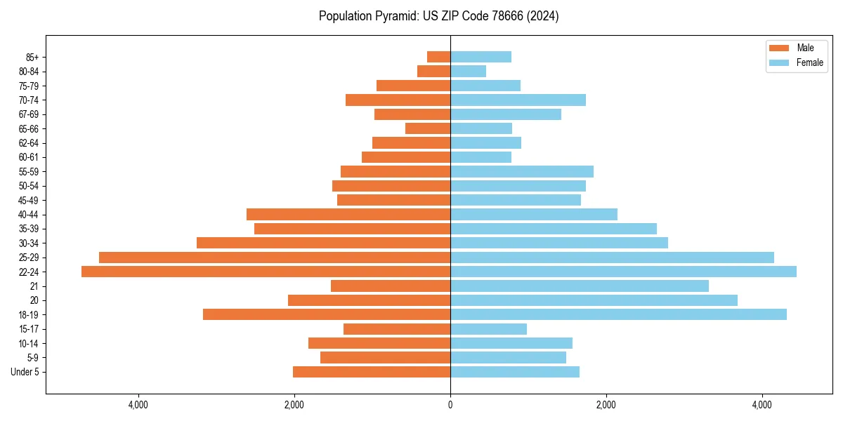 Population pyramid for 