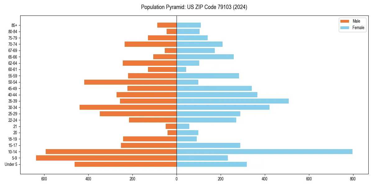 Population pyramid for 