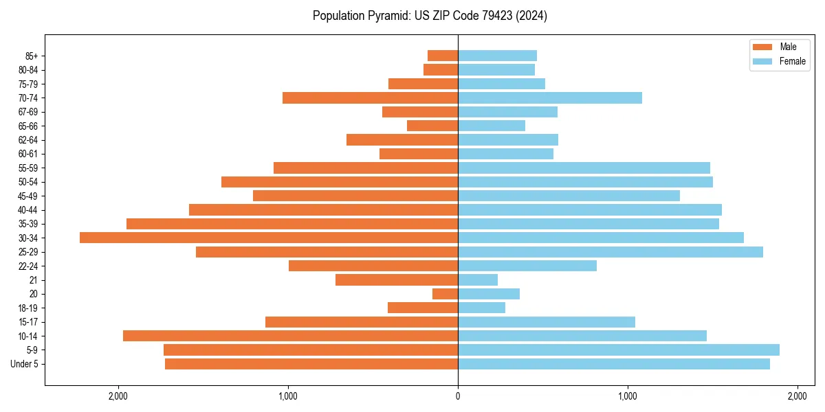 Population pyramid for 