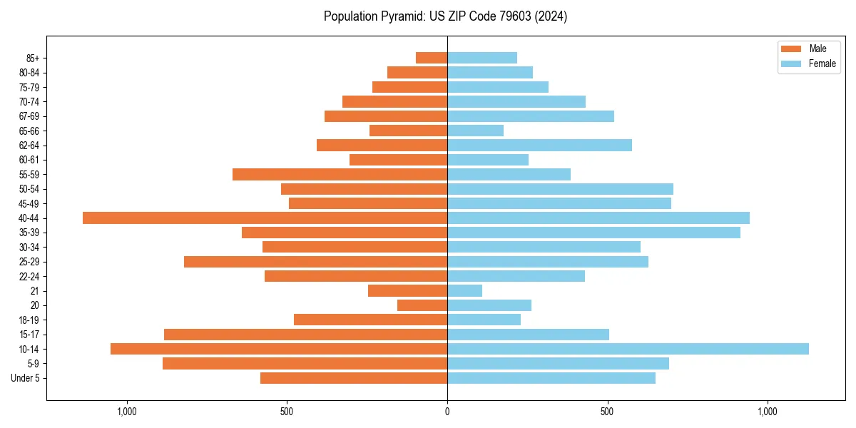 Population pyramid for 