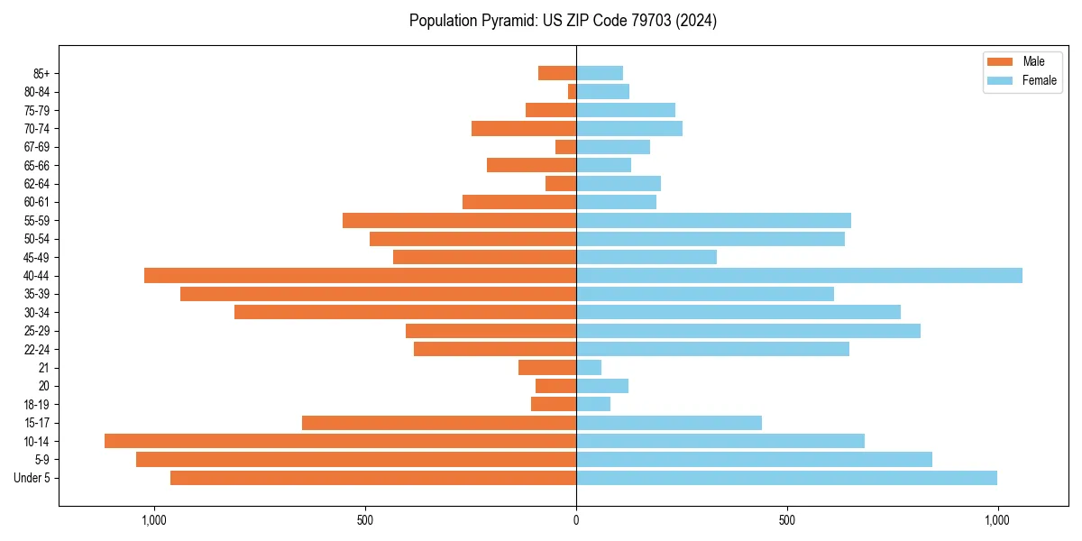 Population pyramid for 
