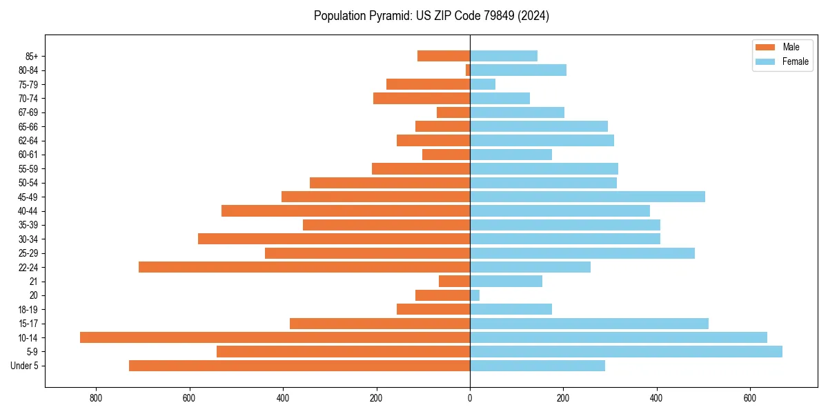 Population pyramid for 