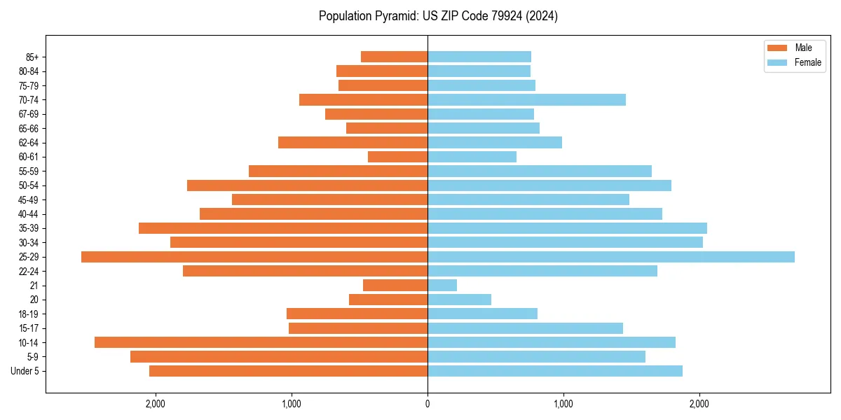 Population pyramid for 