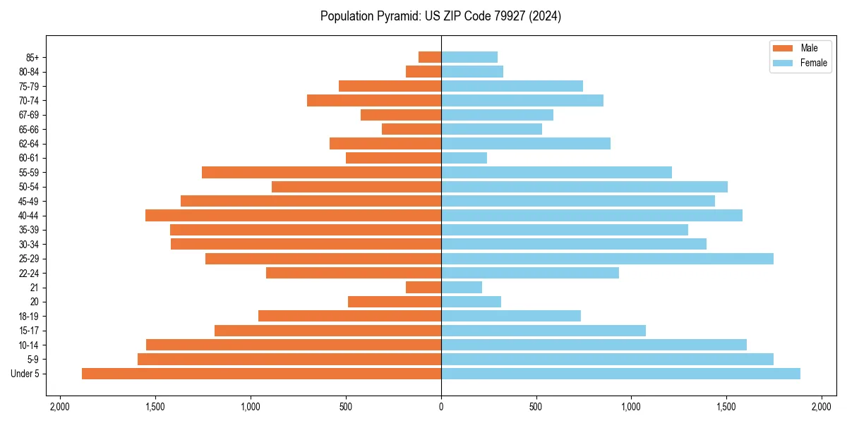 Population pyramid for 