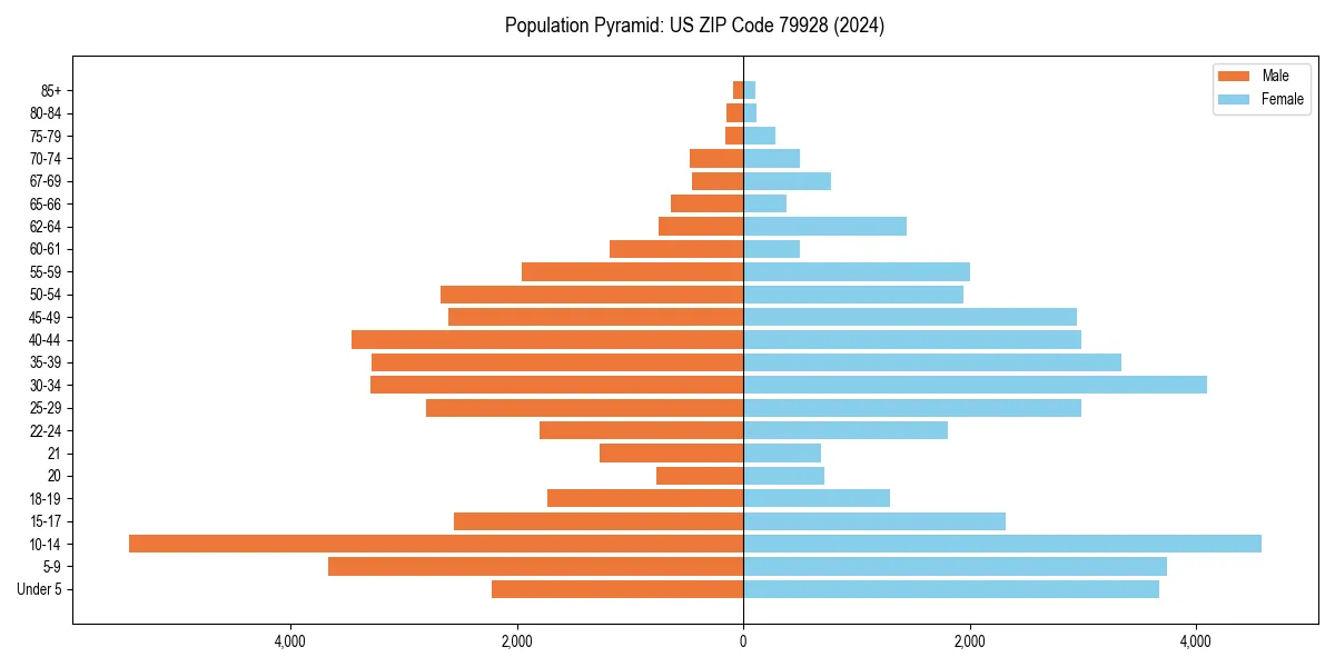 Population pyramid for 