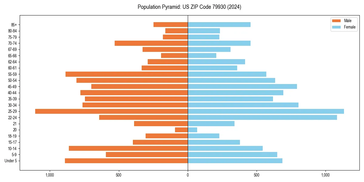 Population pyramid for 