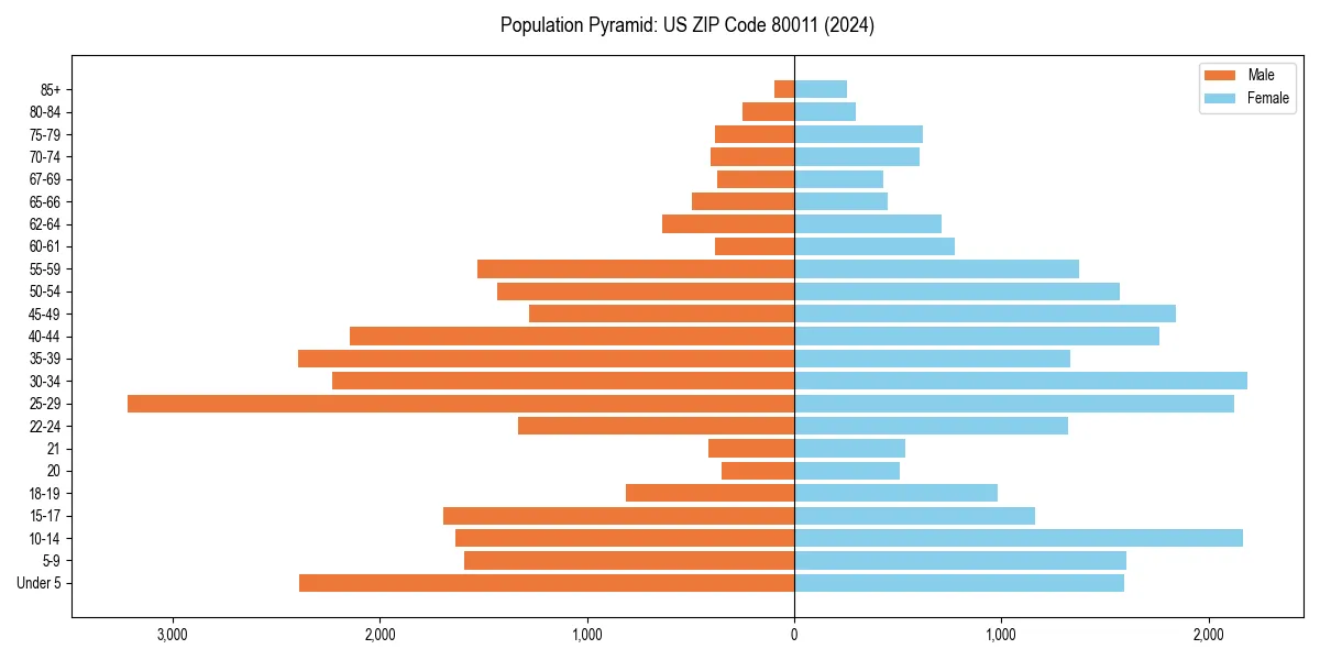 Population pyramid for 