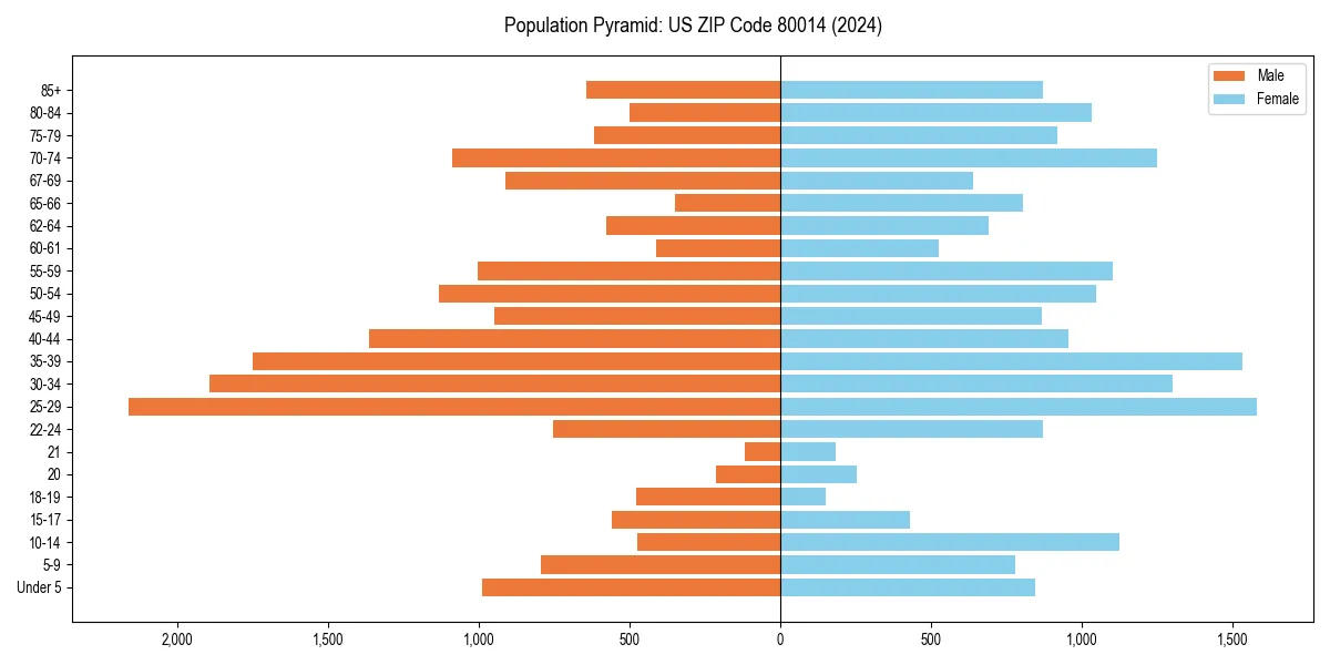 Population pyramid for 