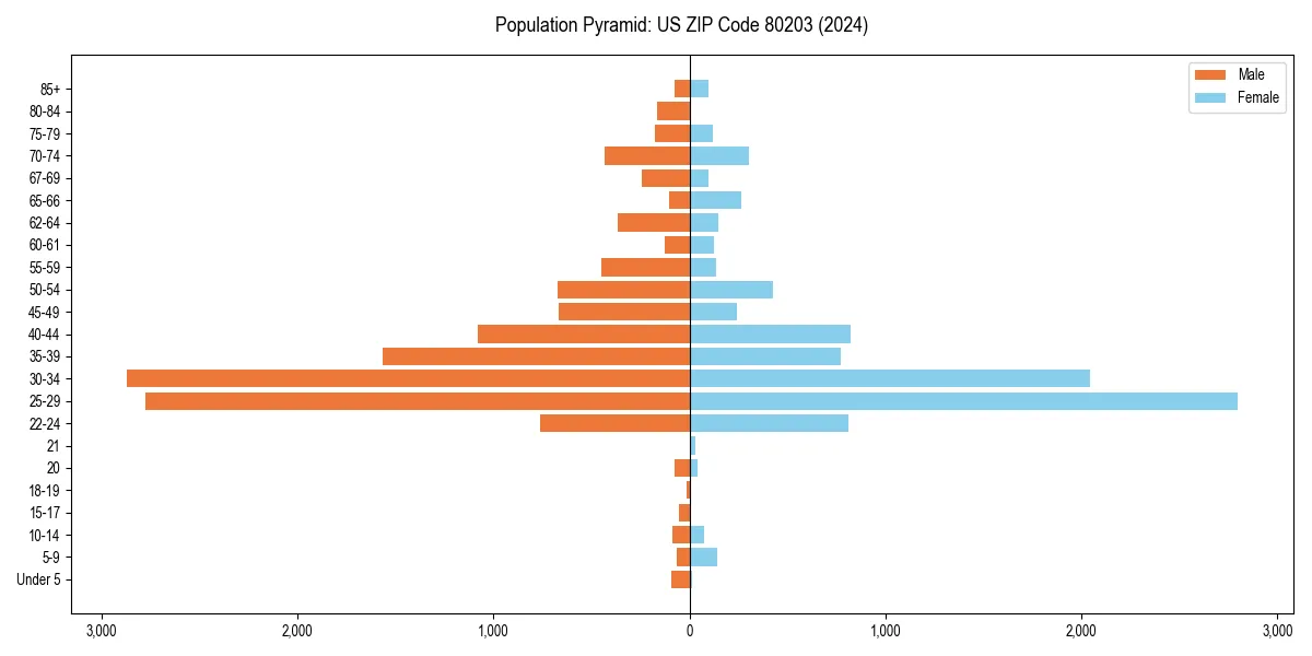 Population pyramid for 