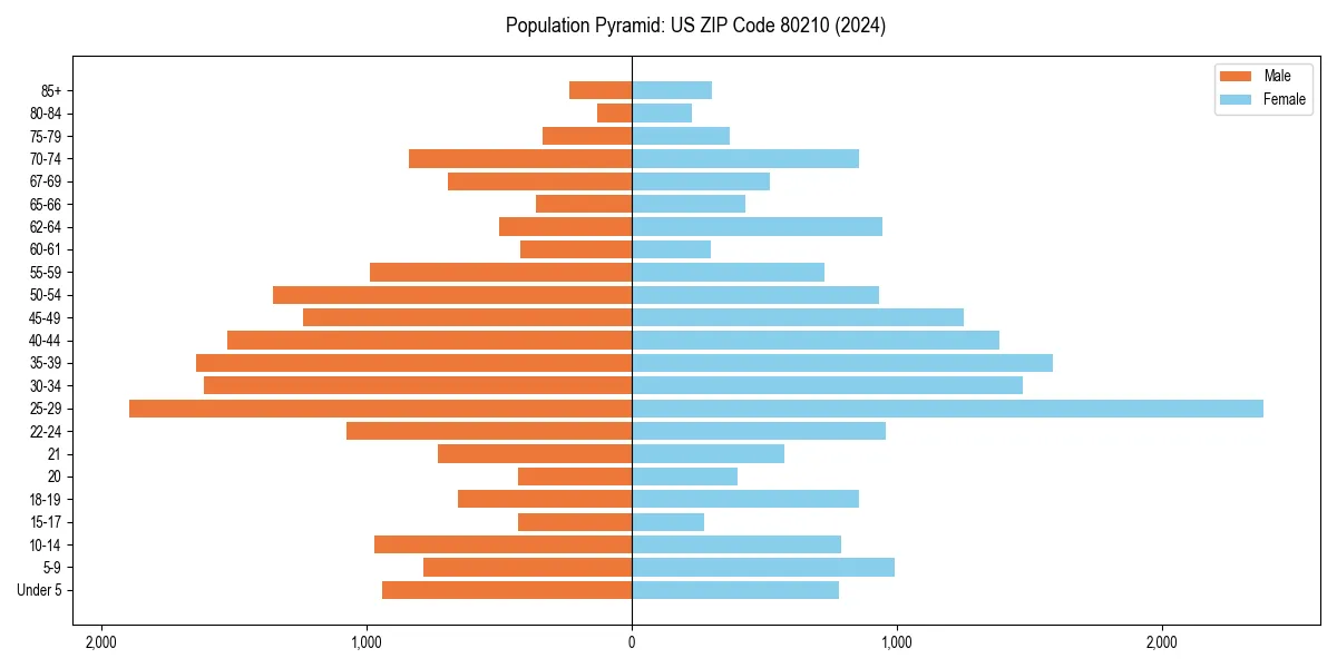 Population pyramid for 