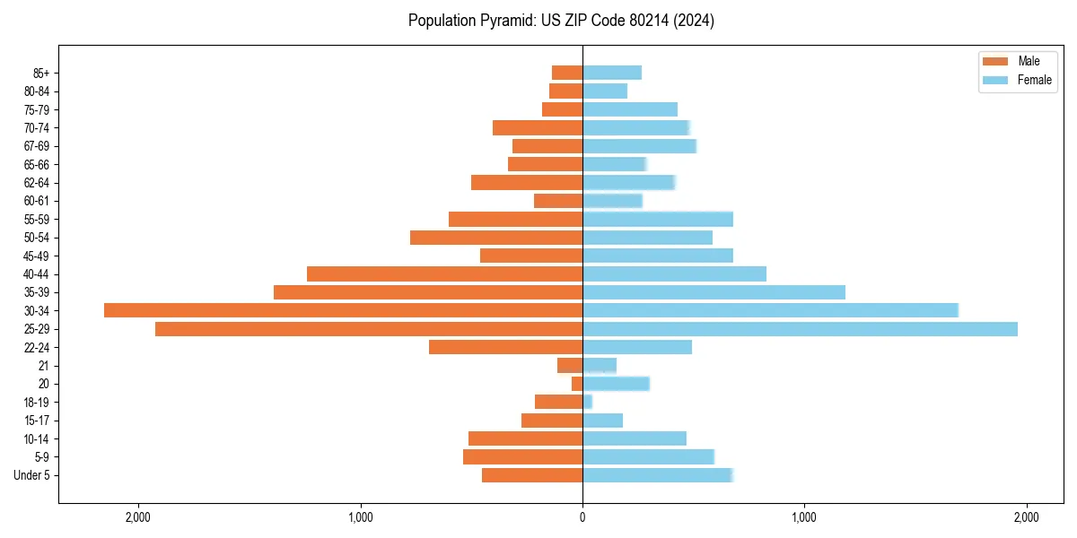 Population pyramid for 