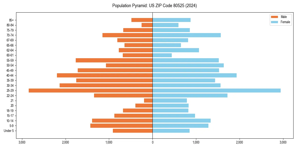 Population pyramid for 