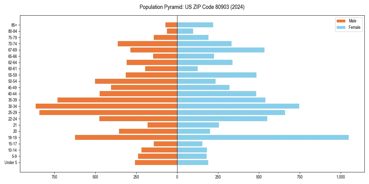 Population pyramid for 