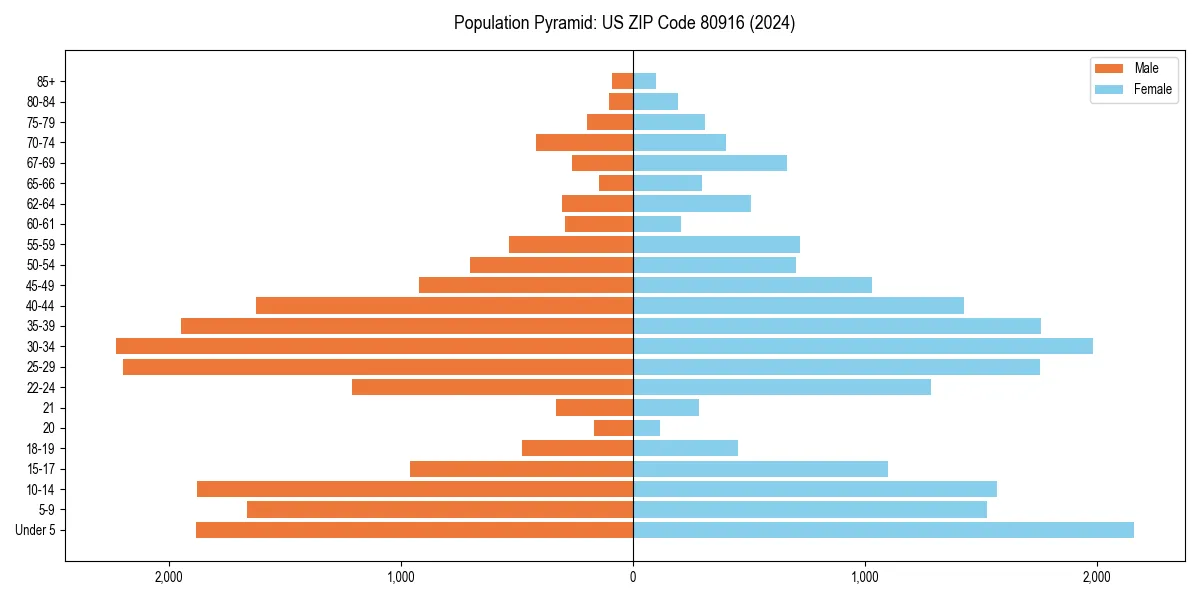Population pyramid for 