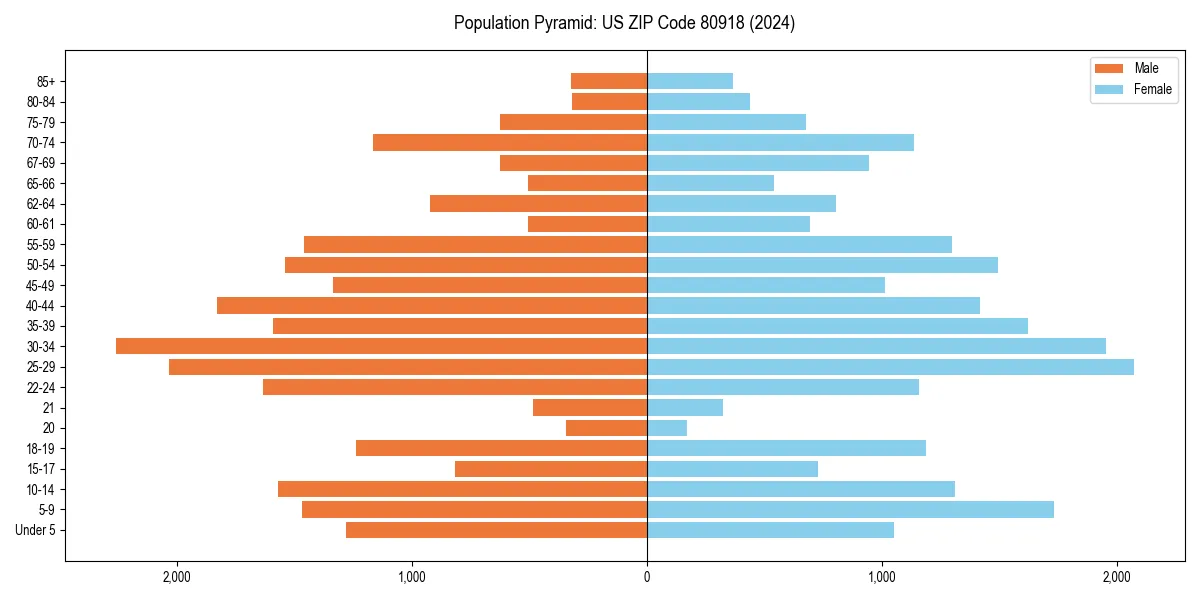 Population pyramid for 