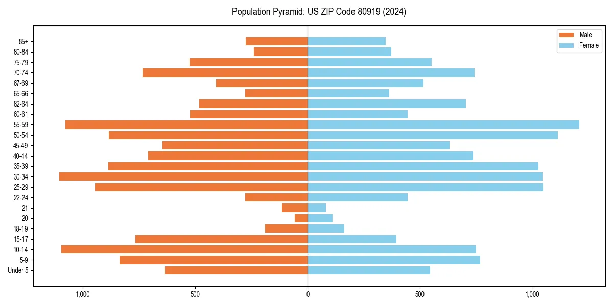 Population pyramid for 