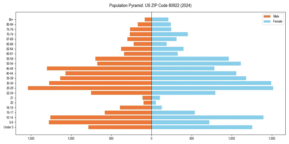 Population pyramid for 