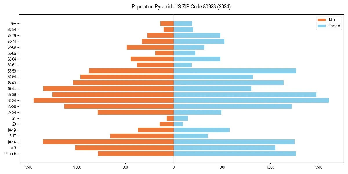 Population pyramid for 