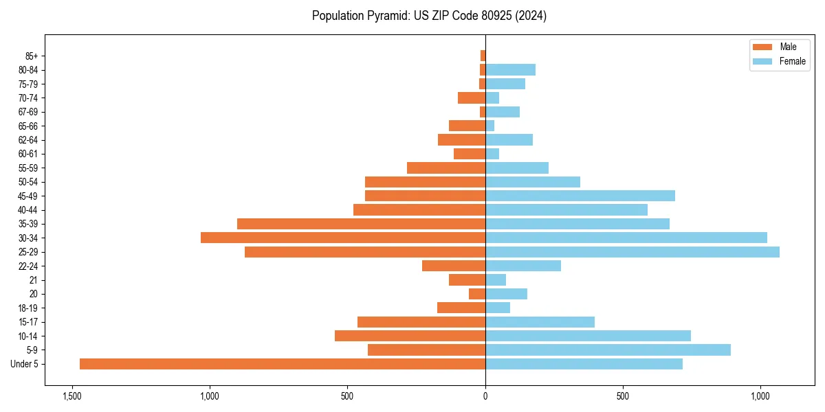 Population pyramid for 