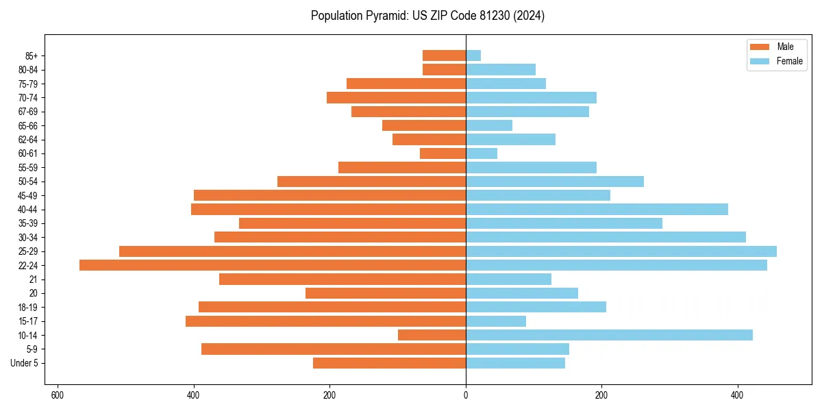 Population pyramid for 