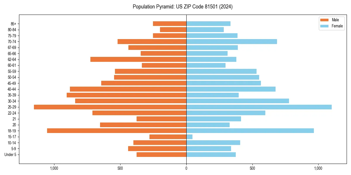 Population pyramid for 
