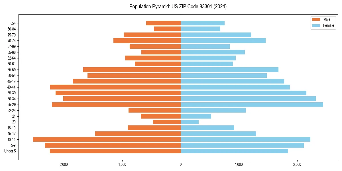 Population pyramid for 