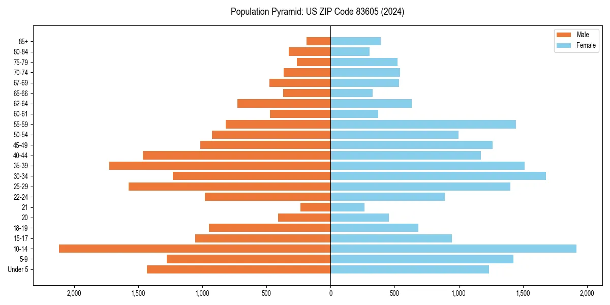 Population pyramid for 