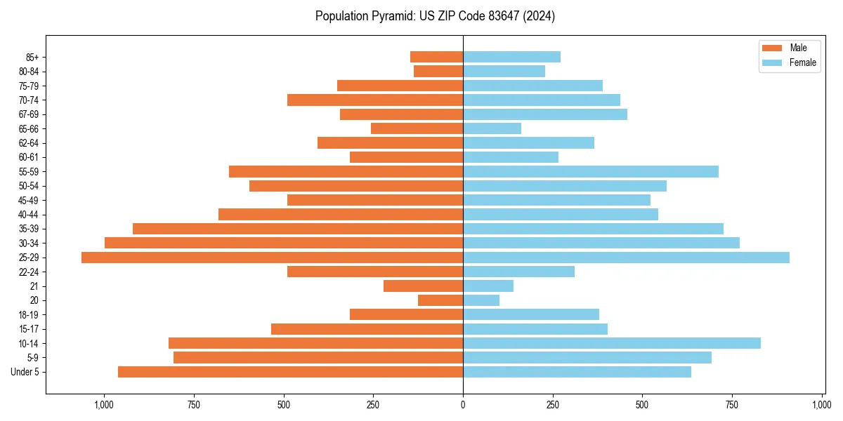 Population pyramid for 