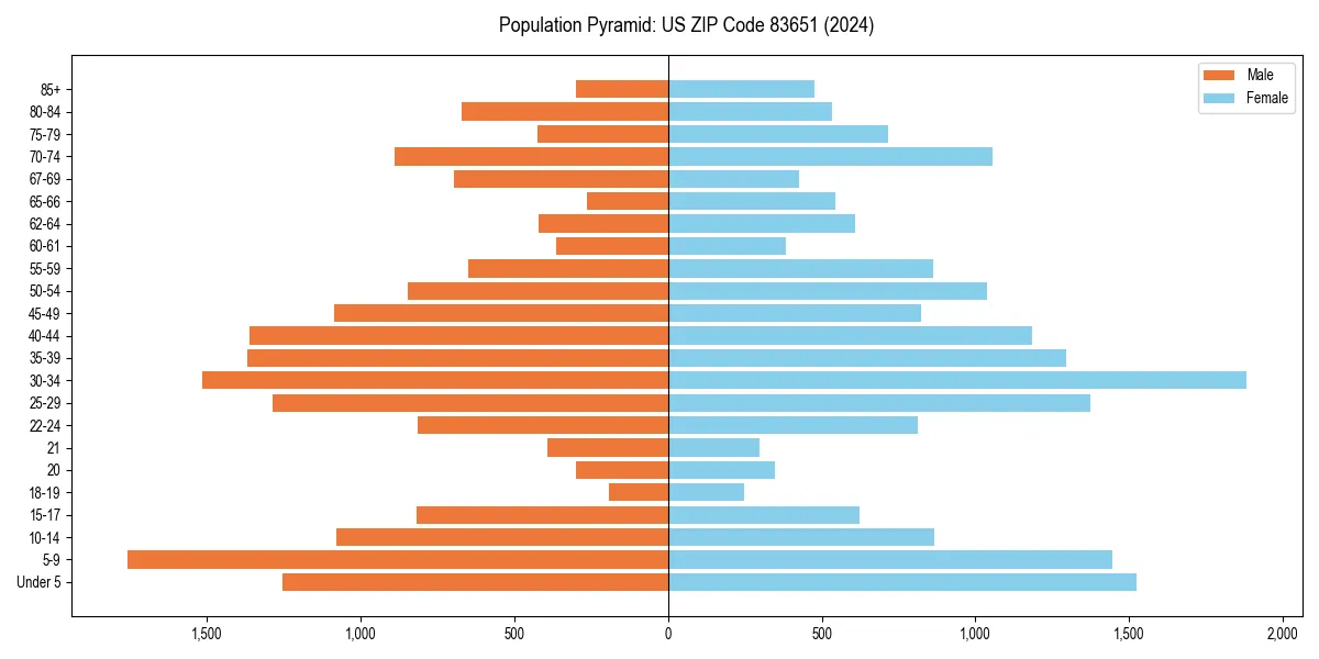 Population pyramid for 