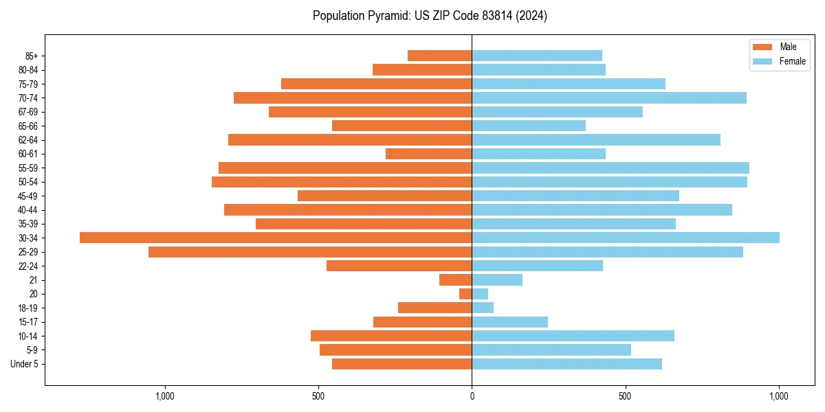 Population pyramid for 