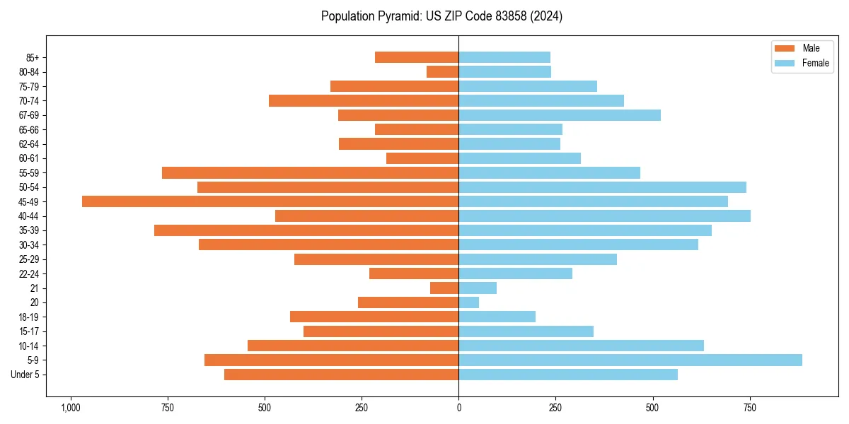 Population pyramid for 