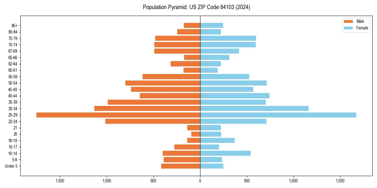 Population pyramid for 