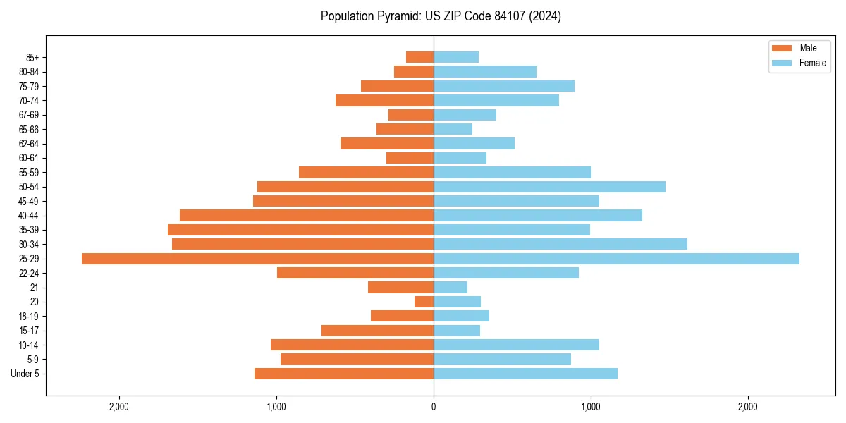 Population pyramid for 