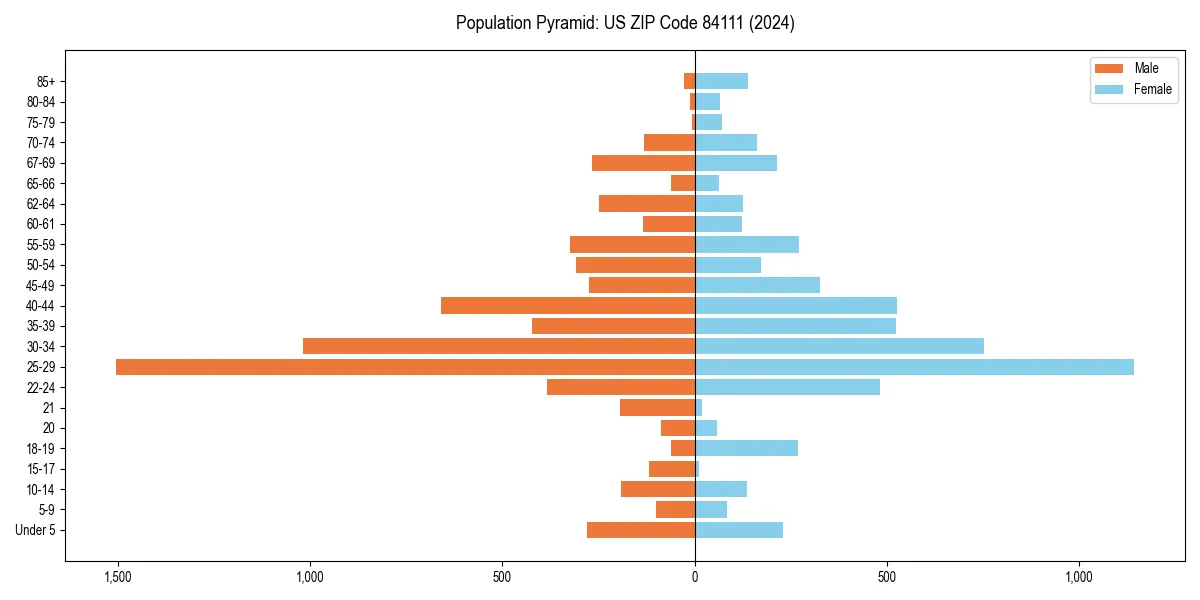 Population pyramid for 