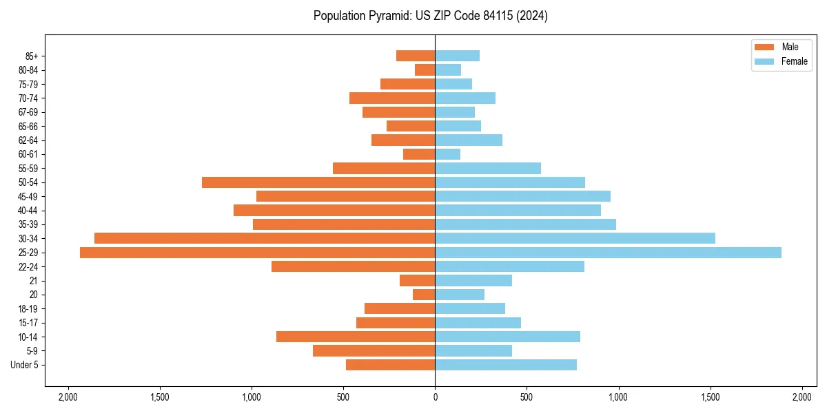 Population pyramid for 
