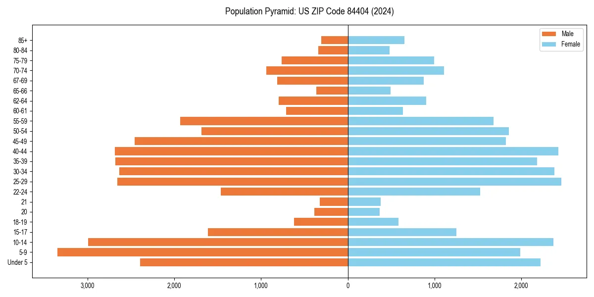 Population pyramid for 