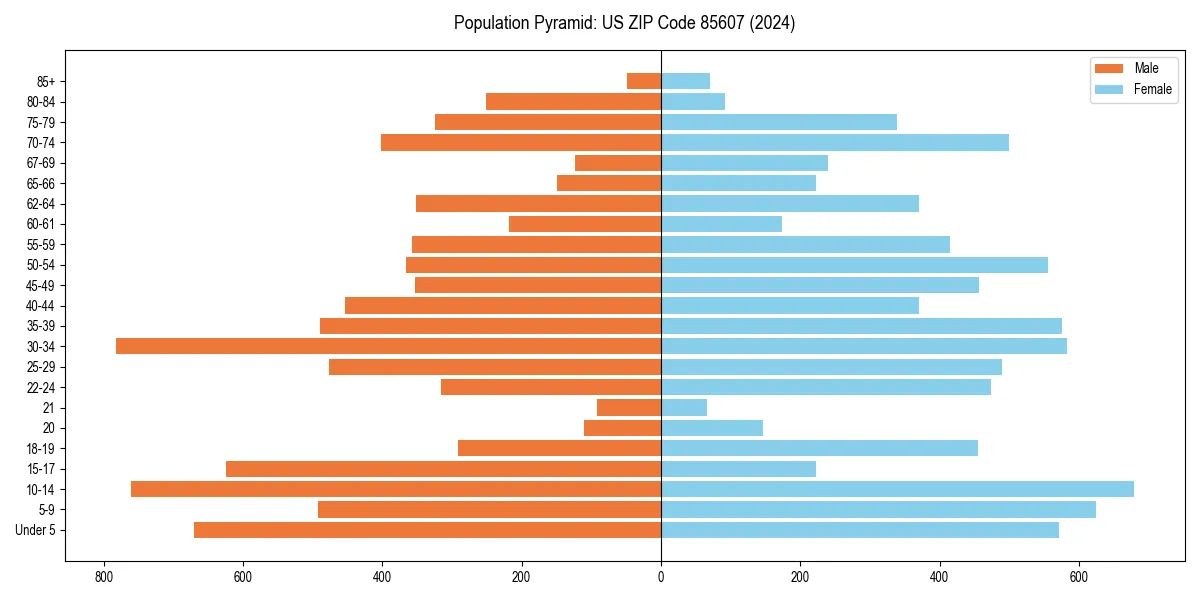 Population pyramid for 